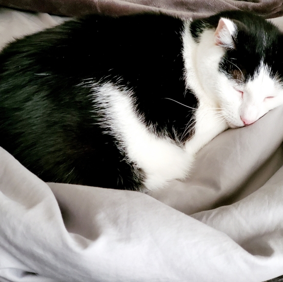 Meet your Posh Ambassador, Teresa - Picture 10 of 12